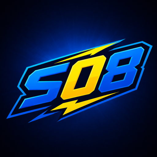 s08